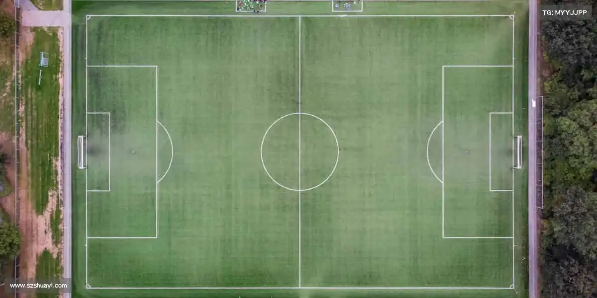 行业领先的理由