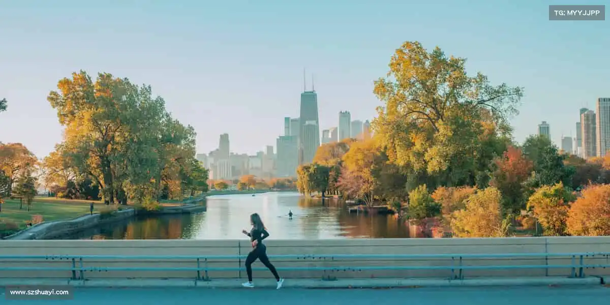 为什么选择我们